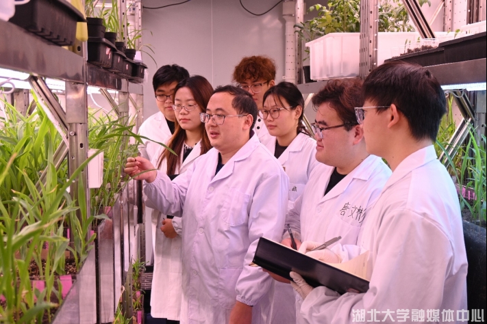 突破生物基材料新紀元 湖北大學獲國家重點研發(fā)計劃2386萬元資助